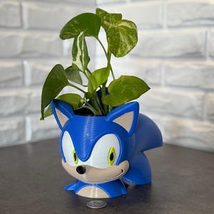 Sonic Hedgehog Pot Gift