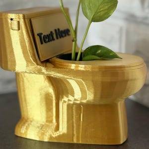 May include: A gold-colored, toilet-shaped planter with a plant inside. The planter has a lid and a small rectangular sign that reads "Text Here". The plant has green leaves.