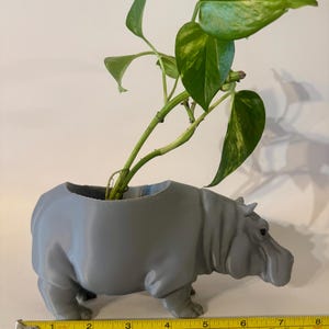 3D Printed Hippopotamus Planter Gift Decoration