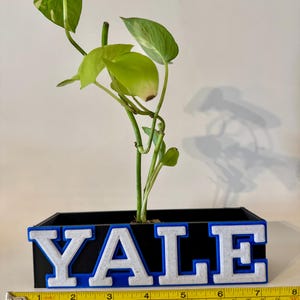 Regalo de Yale Planter