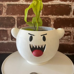 Puede incluir: Una maceta de cerámica blanca con forma de fantasma de dibujos animados, con lengua roja y ojos y boca negros. Contiene una pequeña planta verde. Una moneda está delante de la maceta.