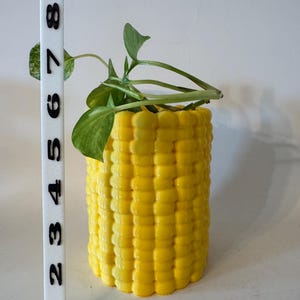 Corn Cob Earth Friendly Planter | Removable Pot | Gift | Home Decor