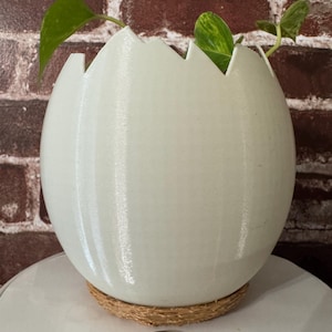 Puede incluir: Una maceta de cerámica blanca en forma de huevo con un borde áspero y agrietado, que se asienta sobre una base tejida. Una pequeña planta verde está creciendo dentro de la maceta.