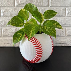May include: A white baseball-style plant pot with red stitching, containing a green plant with yellow-speckled leaves. The pot sits on a black surface. A coin is next to the pot. The background is a white brick wall.