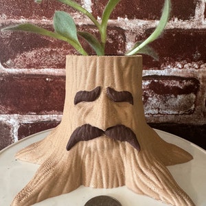 May include: A brown, 3D printed planter shaped like a tree stump with a face. The planter has a brown moustache and eyebrows. A green plant is growing out of the top of the planter.