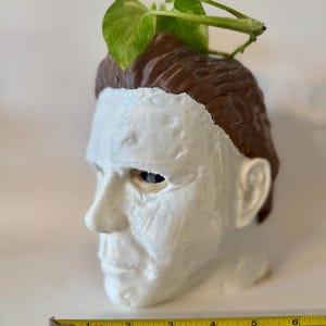 May include: A white and brown decorative planter shaped like a character's head, with green leafy plant stems emerging from the top. The planter is approximately 6 inches long.