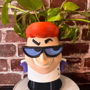 Dexters Lab large planter w/ inner pot