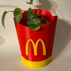Puede incluir: Una maceta roja y amarilla impresa en 3D con forma de contenedor de papas fritas de McDonald's con una planta verde creciendo dentro.