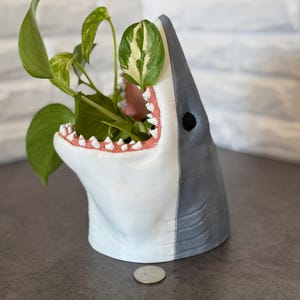 3D Printed Great White Shark Planter, UV Resistant Gloss Finish