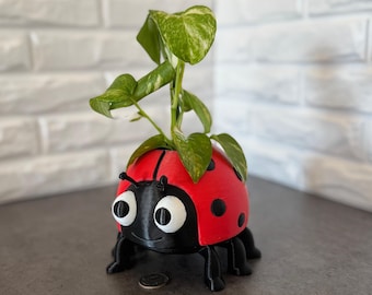 LadyBug Planter Gift Decoration