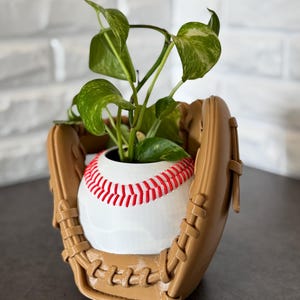 Peut inclure: Un pot de fleurs en forme de gant de baseball beige contenant une balle de baseball blanche avec des coutures rouges. Une plante pothos panachée verte et blanche pousse au centre de la balle. Une petite pièce d'argent est posée devant le pot.