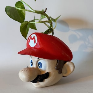 Mario planter Gift Decoration
