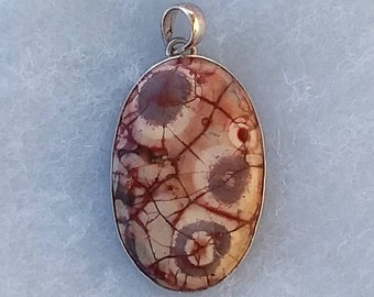 Birds Eye Rhyolite Pendant in Silver