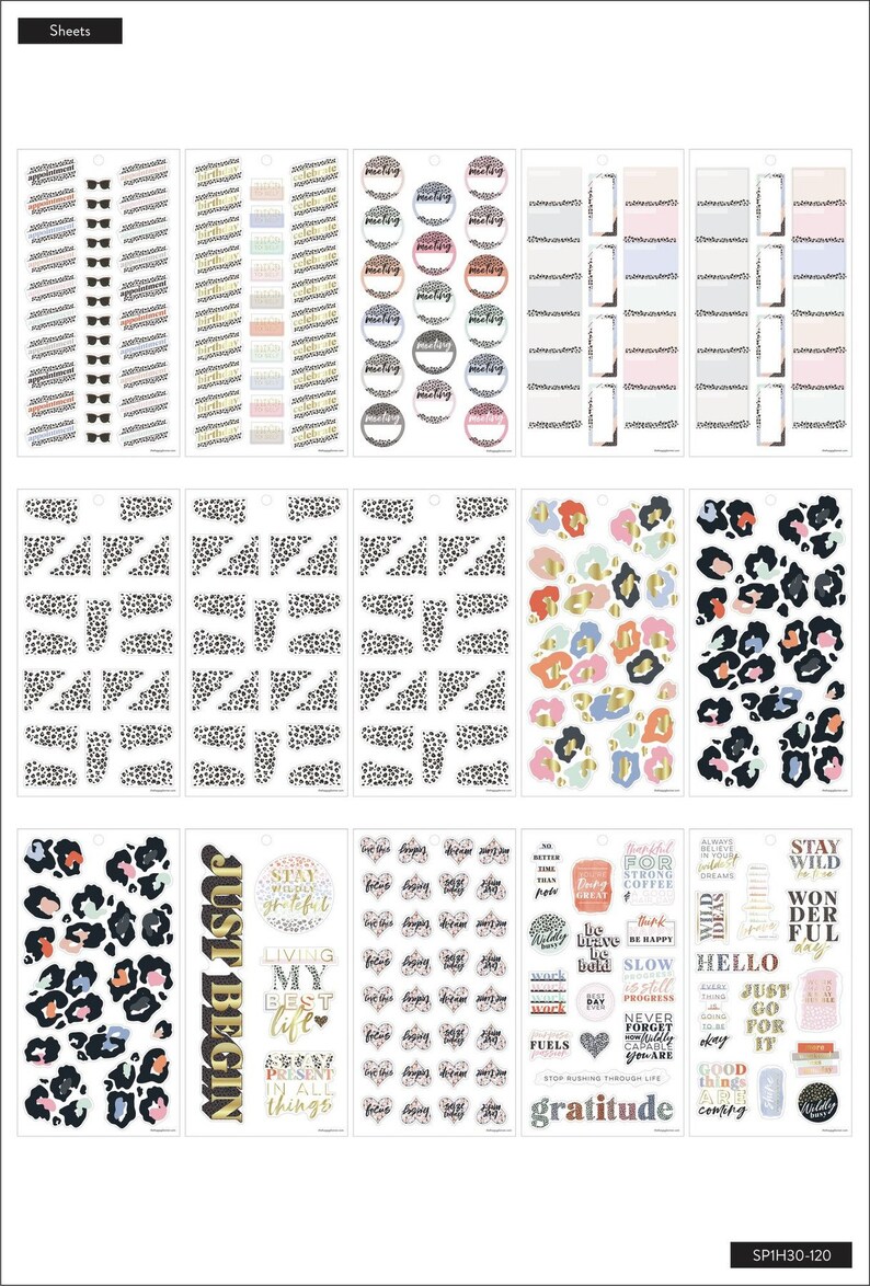 1095 Pets/603 Colorful Leopard/778 Jungle Vibes Happy Planner Value Stickers Books-30 Pages Functional Sticker Sheets-Animals Prints image 7