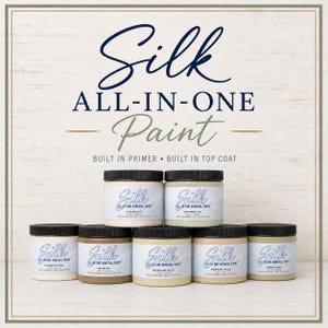 Silk All-In-One Mineral Paint by Dixie Belle | Acrylic Based Paint | Built in Primer and Topcoat | Furniture Paint |