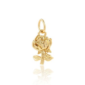 Plant Necklace, 18K Gold Filled Chrysanthemum Necklace，Daisy Pendant,Flower Pendant,Flower Charm,DIY Jewelry Supplies,14.5x7.4x2.6mm