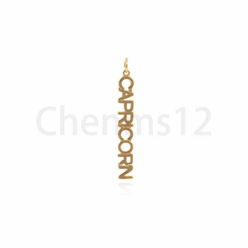 May include: Gold-colored pendant necklace with the word "CAPRICORN" spelled vertically.
