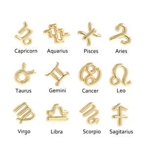 Zodiac Sign Charm,Astrological Charm, Zodiac Pendant, Leo Charm, 18K Gold Filled Horoscope Necklace, DIY Jewelry Supplies,21.3x19.8x4.3mm