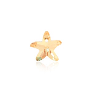 May include: A small, gold-toned, crystal starfish charm with a hole for hanging.