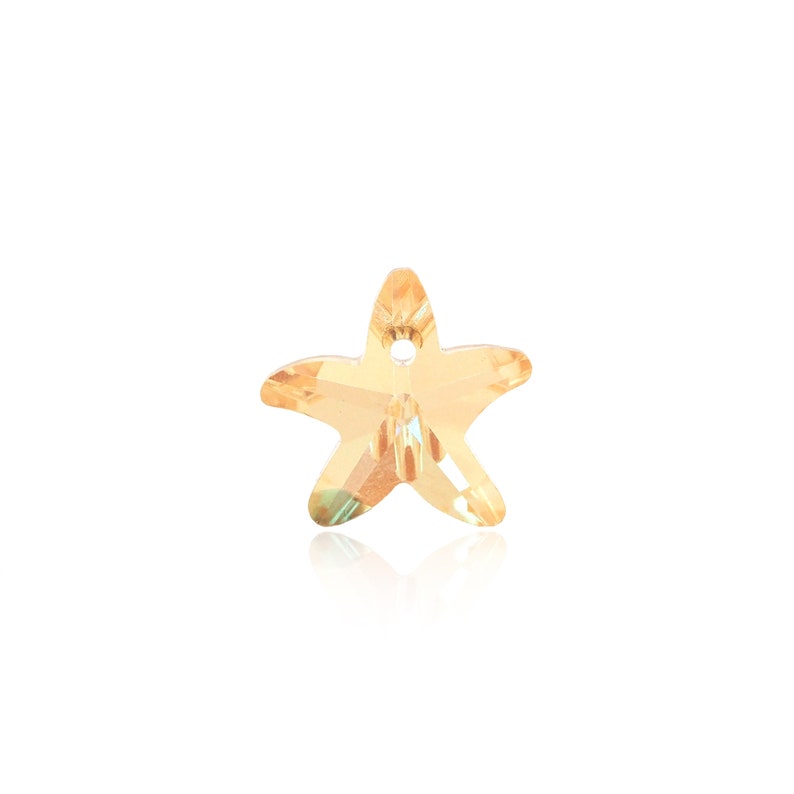 May include: A small, gold-toned, crystal starfish charm with a hole for hanging.