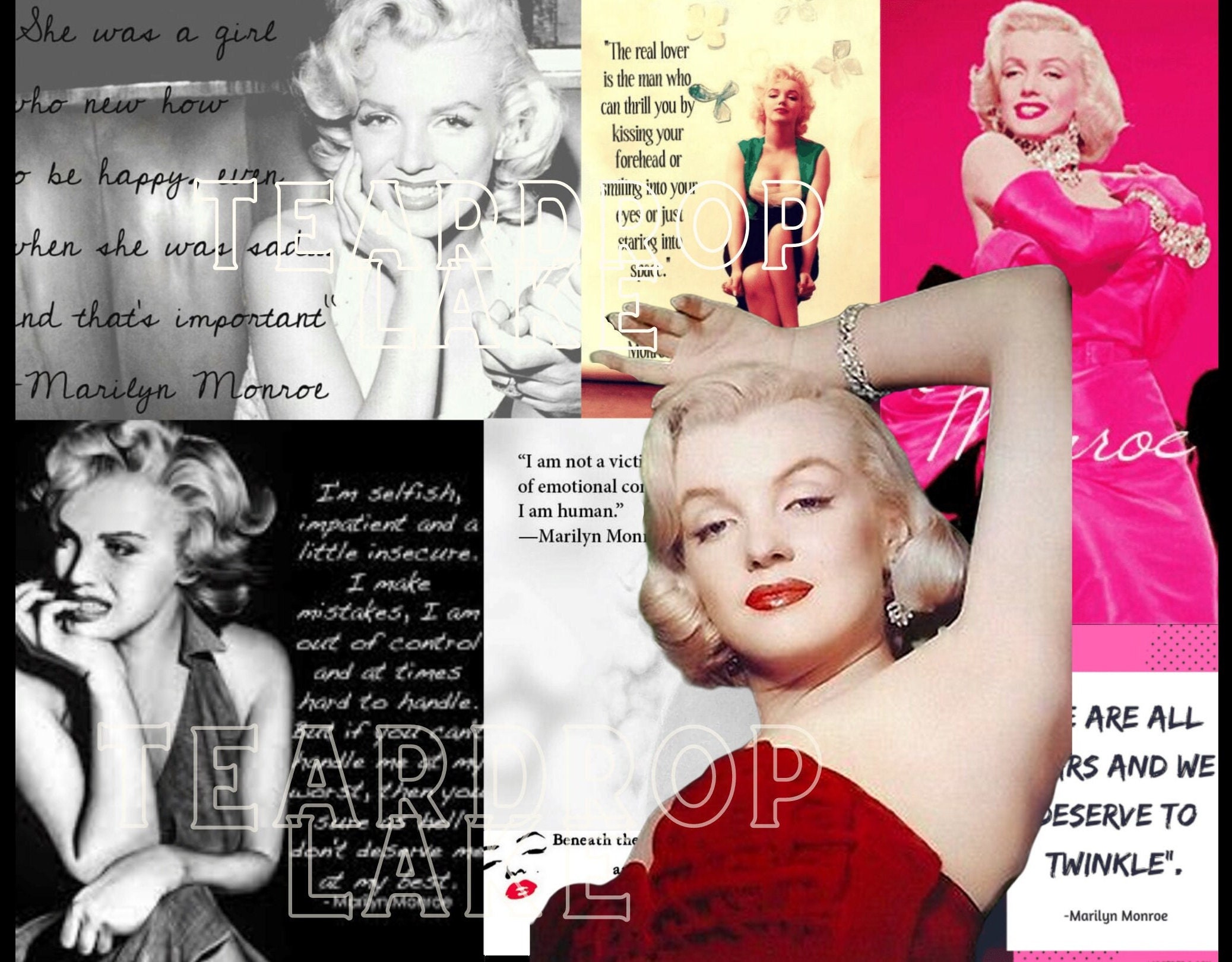 Lutece Black & white Marilyn Monroe photography Embossed Wallpaper | DIY at  B&Q