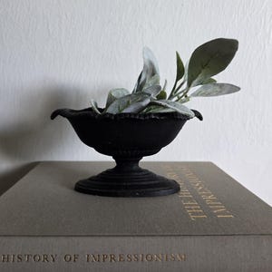Może przedstawiać: Czarna, ozdobna misa na cokole wypełniona zielonymi i szarymi liśćmi. Misa stoi na książce zatytułowanej "History of Impressionism" ze złotymi literami. Misa ma falisty brzeg i szczegółową podstawę.