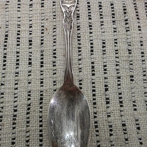 May include: A silver spoon with a detailed handle featuring an eagle and the word "Connecticut". The spoon has a long, slender handle and a polished, oval bowl. The spoon is likely a souvenir or collectible item.