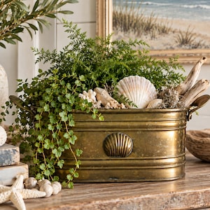 May include: An oval brass planter with horizontal ribbed detailing and a central shell-shaped emblem. The planter is filled with lush green foliage, driftwood pieces, and a large white scallop shell, creating a coastal-inspired arrangement.