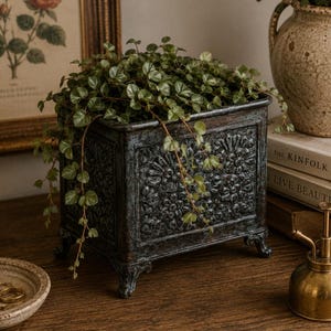 May include: A rectangular dark bronze-toned metal planter with ornate floral relief patterns on its sides, supported by four small decorative feet. The planter is filled with a trailing green plant featuring small, heart-shaped leaves.