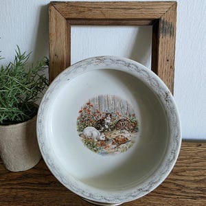 Puede incluir: Un cuenco de cerámica blanca con un borde decorativo y una ilustración central de gatos y una tortuga en un jardín. El cuenco está colocado contra un marco de madera y una pequeña planta en maceta.