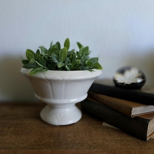 Puede incluir: Una maceta blanca de cerámica en forma de urna llena de plantas verdes con hojas. La maceta tiene una base de pedestal y un borde decorativo. El arreglo está sobre una superficie de madera, con libros y una bola de cristal decorativa en el fondo.