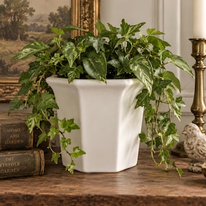 May include: A white hexagonal ceramic planter containing a lush, trailing ivy plant with variegated green and light green leaves. The planter has a smooth, glossy finish and a wide, flared rim, providing a clean, neutral base for the foliage.