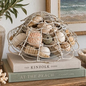 May include: A white wire mesh dome filled with a collection of various seashells, including spiral, fan-shaped, and round sea urchin shells. The wire structure has a scalloped edge and sits atop two stacked books titled The Kinfolk Home and At The Beach.