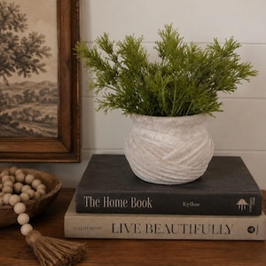 May include: A small, textured, off-white ceramic pot with a rounded shape and a flared rim, containing a vibrant green artificial plant with thin, needle-like foliage. The pot sits atop two stacked books titled The Home Book and LIVE BEAUTIFULLY.