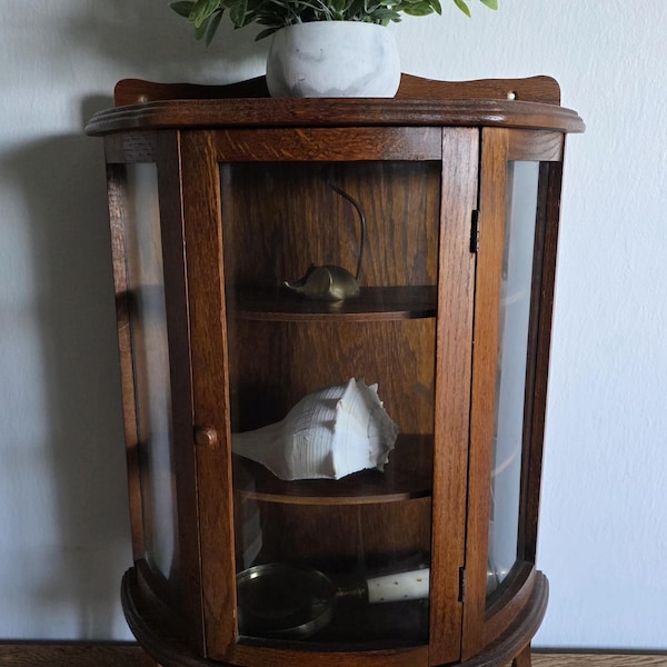 Vitrine vintage de madeira maciça para amostras de vendas / mini vitrine / expositor de balcão ou parede com vidro curvo