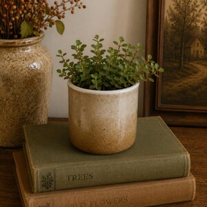May include: A small green succulent plant in a cylindrical ceramic pot with a speckled beige and brown gradient finish. The pot rests on top of two stacked hardcover books, one green labeled TREES and one tan labeled WILD FLOWERS.