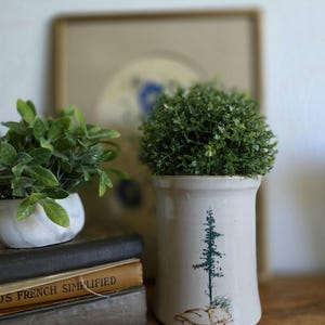 Könnte beinhalten: Eine weiße Keramikvase mit einem grünen Baumdesign, die eine kleine grüne Pflanze enthält. Eine kleine weiße Schale mit einer grünen Pflanze steht auf einem Stapel Bücher. Ein gerahmtes Bild befindet sich im Hintergrund.