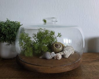 Soporte para pasteles/tabla de quesos/vitrina decorativa de madera de teca y cristal transparente, estilo vintage/moderno de mediados de siglo.