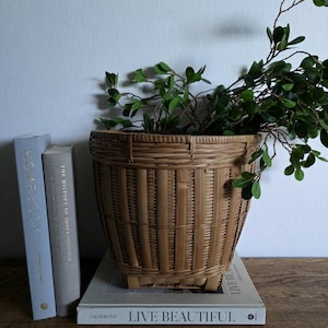 May include: A woven brown basket with a plant inside, resting on a stack of books. The basket has a textured, cylindrical shape. The plant has green leaves and stems. Two books are visible, one with the title "HOMEBODY" and the other "THE HISTORY OF IMPRESSIONISM".