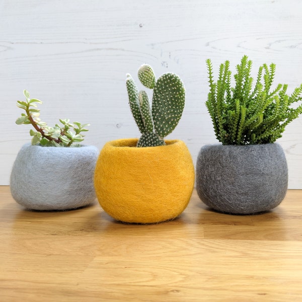 Felt Planters // Felt Plant Pots // Mothers Day Gift // Indoor Planter // Gift for the Home