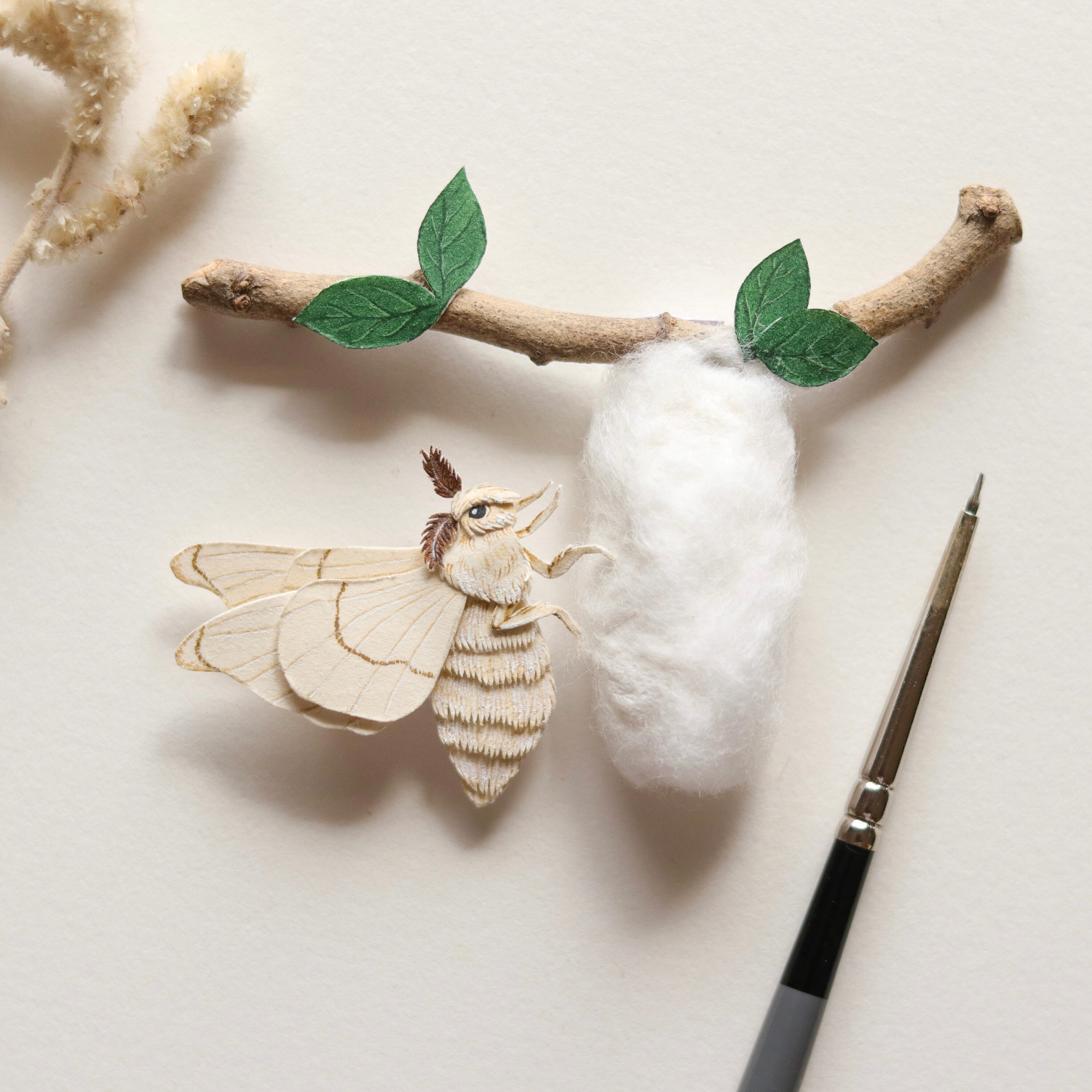 Polilla de Polinizador arte entomológico polilla - Etsy España