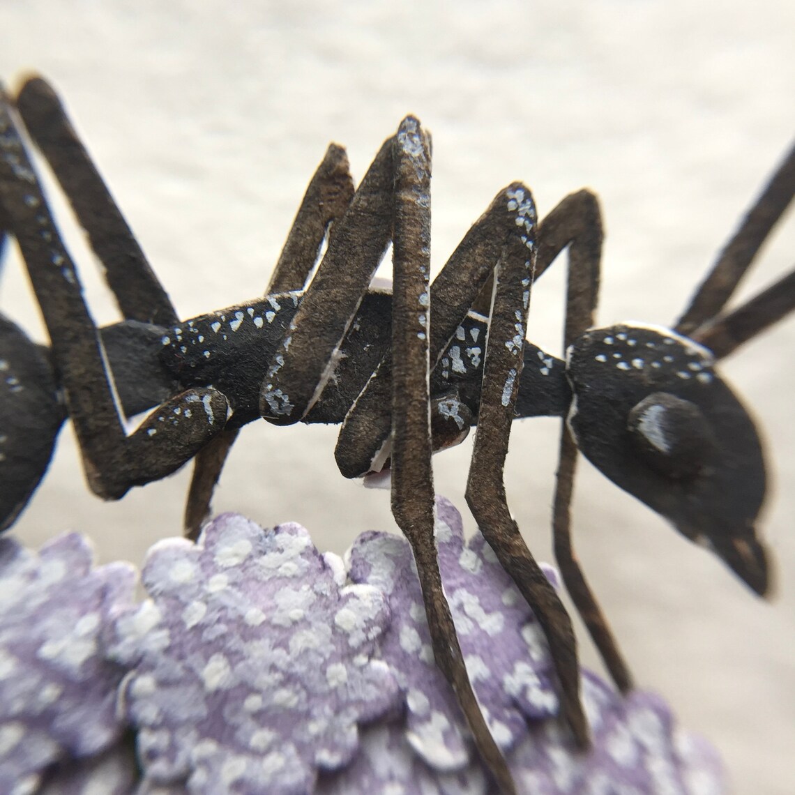 Pollinator Ant Carpenter ant Pollination art Nature Etsy