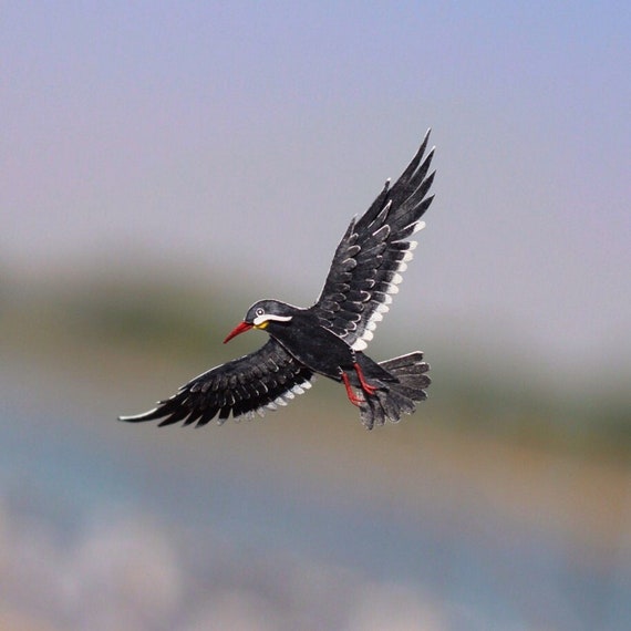 Vogels Inca Stern Stern Papercut Vogel Vliegende Vogel Vogel Kunst Originele Kunst Vogel Kunst Papier Vogel Nvillustration