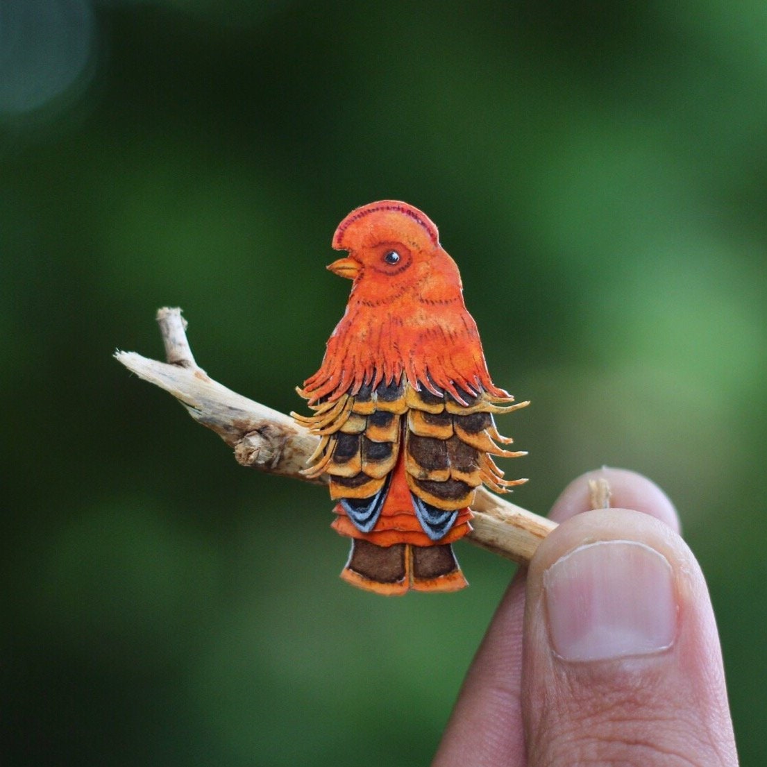 Papercut Bird Guianan Cock Of The Rock Orange Bird Art Etsy Papercut Bird Guianan Cock Of The Rock Orange Bird Art Etsy
