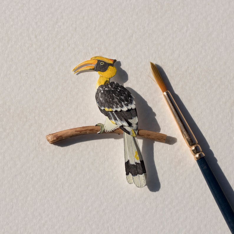 Hornbill bird essay image