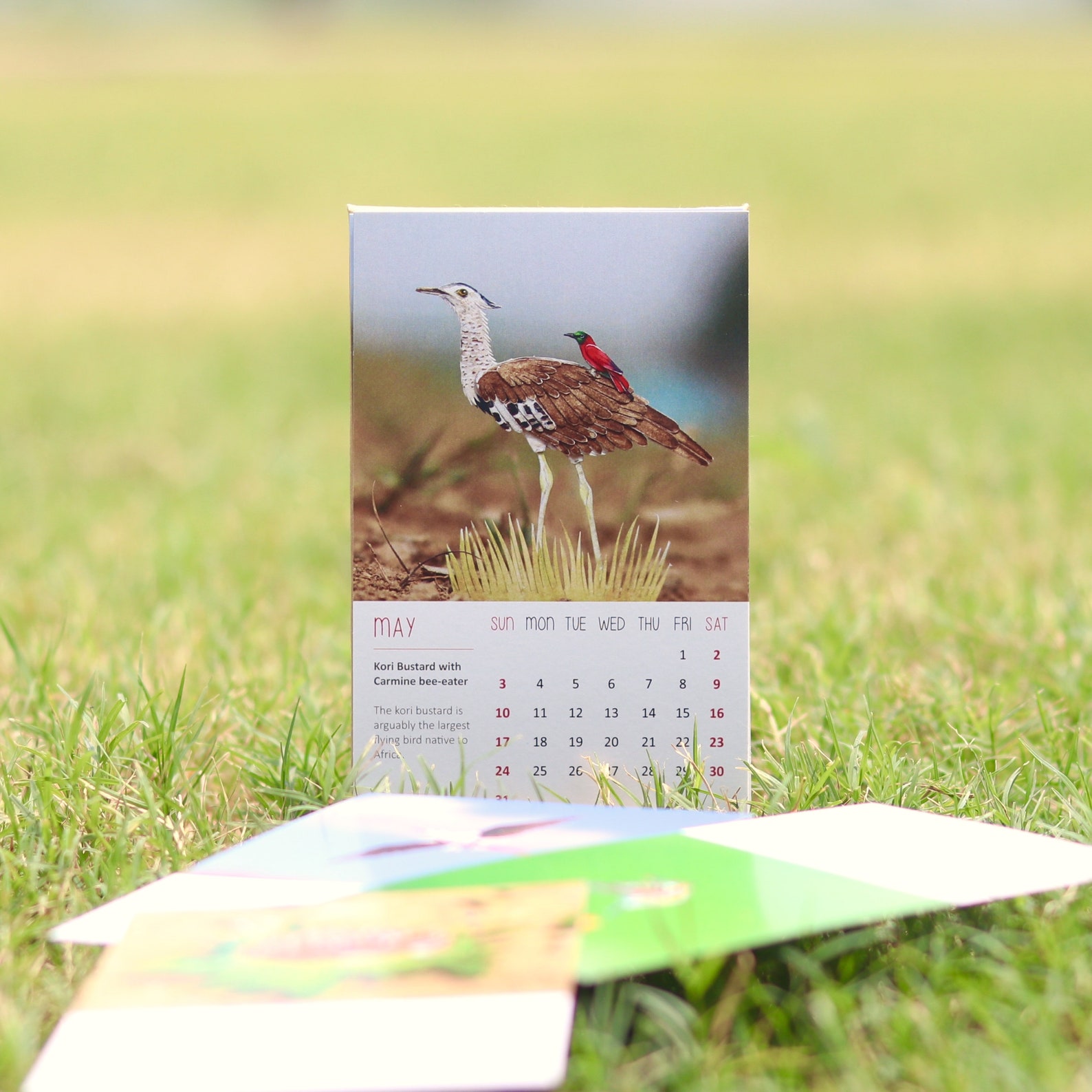 2020 mini Calendar Calendar 2020 bird art birds | Etsy