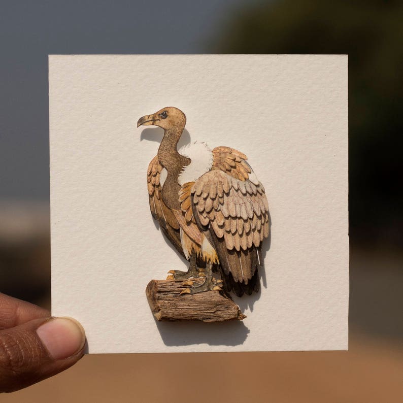 Vulture facts for kids image