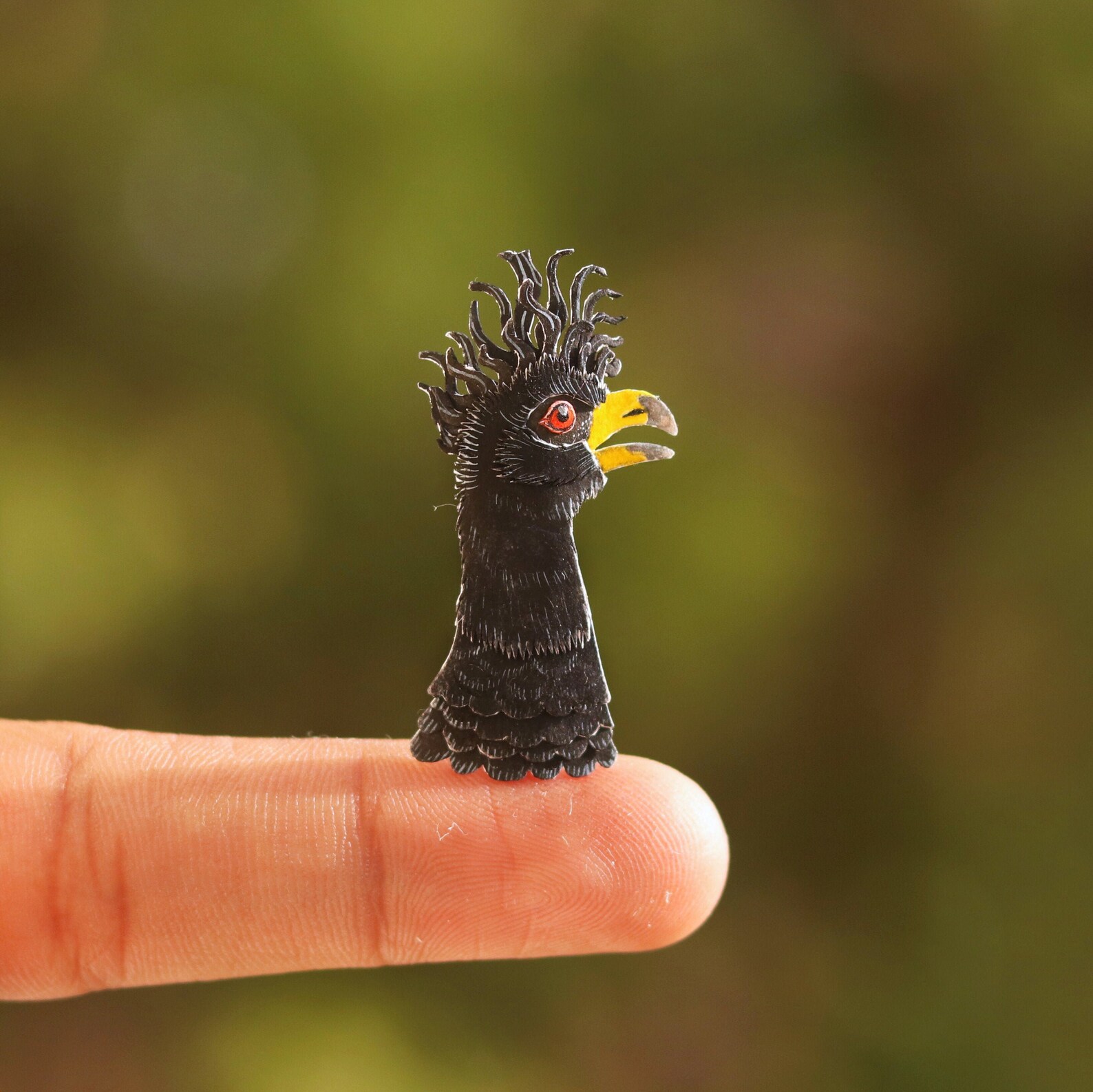 Curassow Portrait Amazon Rainforest Amazon Bird Art Etsy