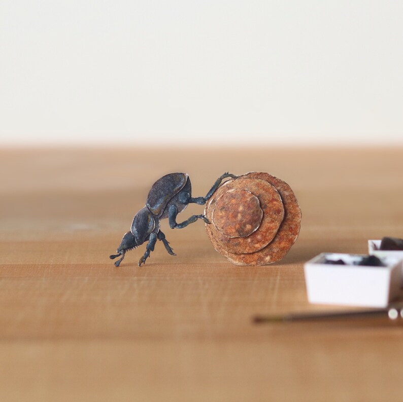 Rainbow dung beetle picture