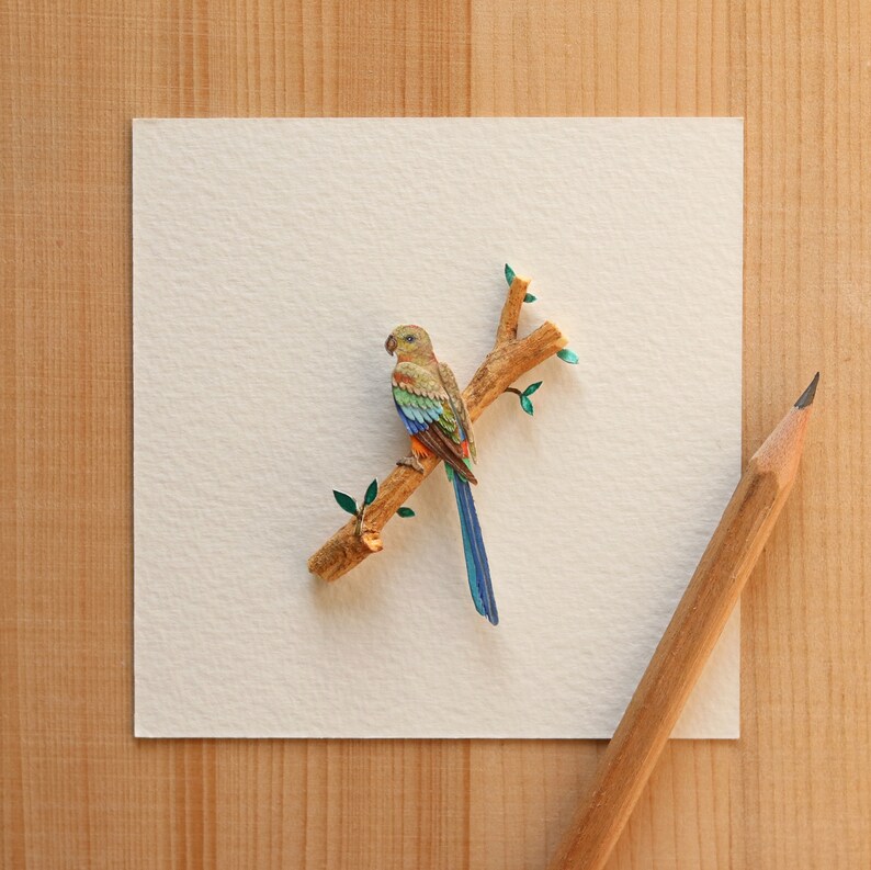 Birds Art for Donation Bird art Mulga parrot Papercut Etsy